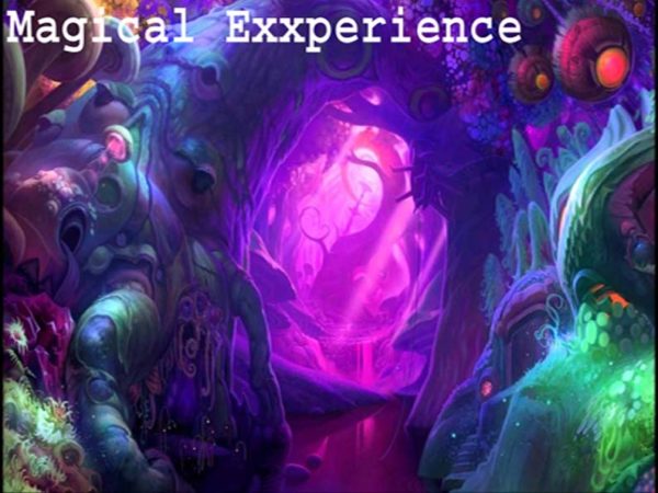 Magical Experience